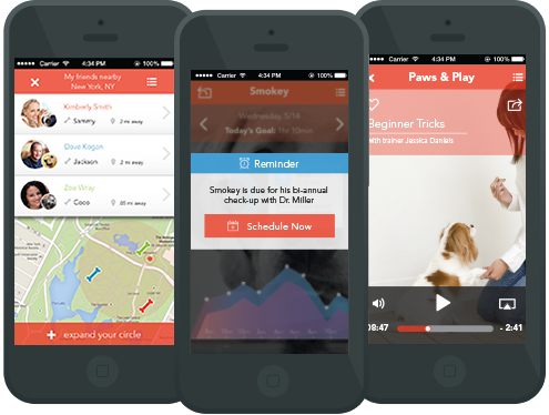PetBuddy app — alternate view