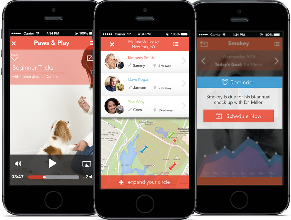 PetBuddy app — phone view